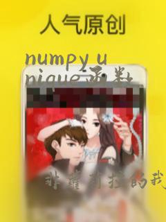 numpy unique函数