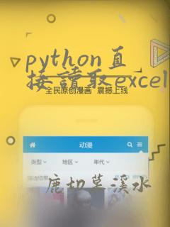 python直接读取excel