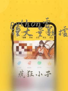 python处理大量数据