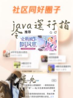 java运行指令