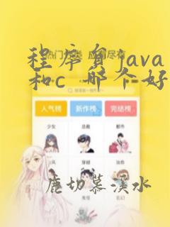 程序员java和c 哪个好