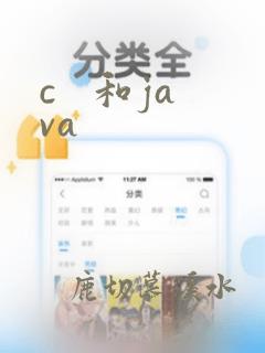 c 和java