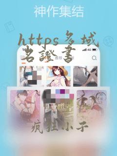 https多域名证书