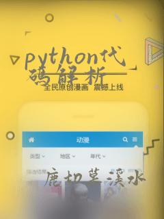 python代码解析