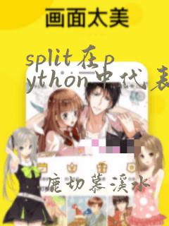 split在python中代表什么