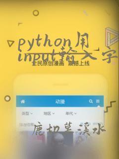 python用input输入字典