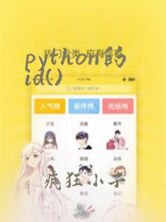 python的id()