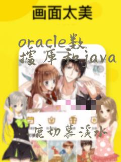 oracle数据库和java