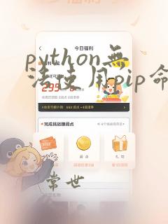 python无法使用pip命令