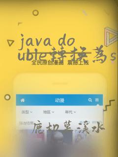 java double转换为string