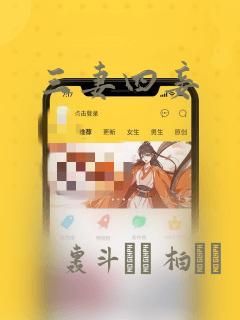 三妻四妾