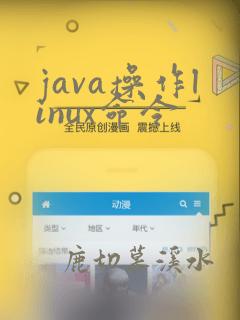 java操作linux命令