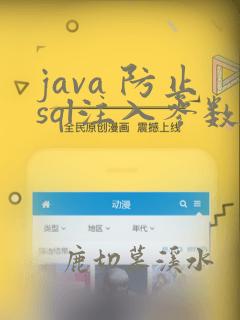 java 防止sql注入参数检验