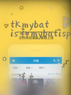 tkmybatis和mybatisplus的区别