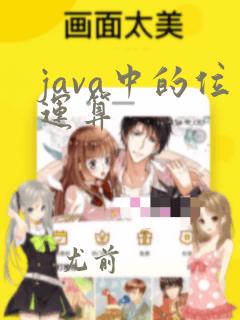 java中的位运算