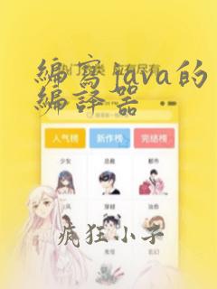 编写java的编译器