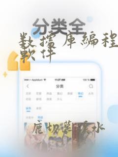 数据库编程开发软件