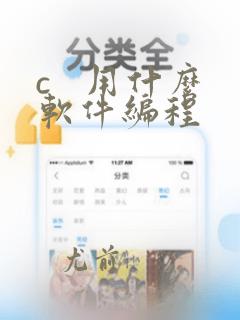 c 用什么软件编程