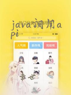 java调用api