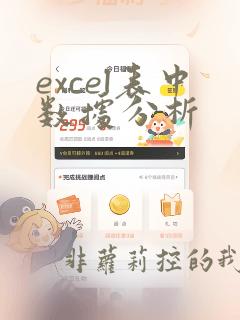 excel表中数据分析