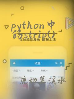 python中的strip()
