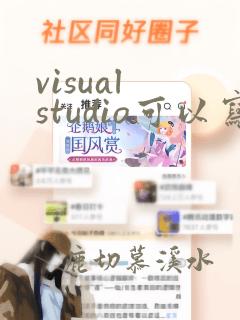 visual studio可以写python吗
