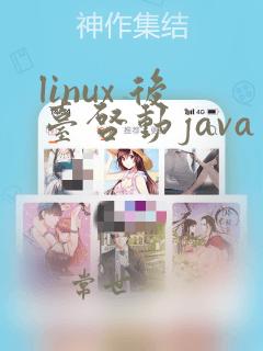 linux 后台启动java