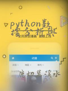 python数据分析与