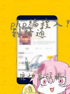php编程入门到精通