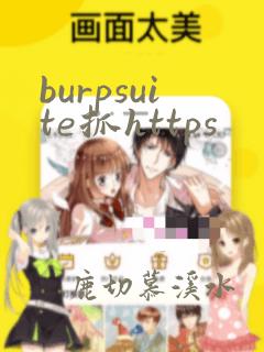 burpsuite抓https