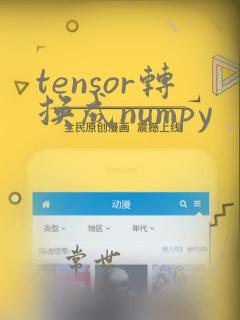 tensor转换成numpy