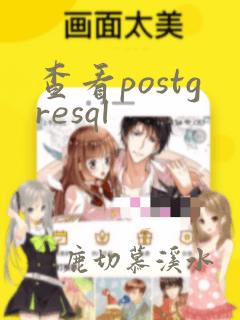 查看postgresql
