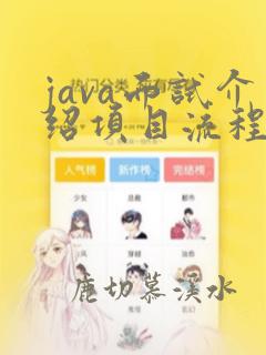 java面试介绍项目流程