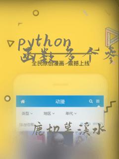 python 函数多个参数