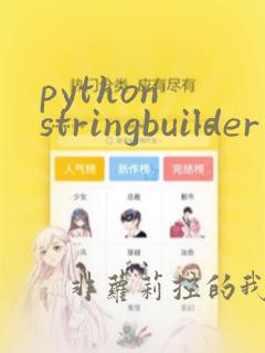 python stringbuilder