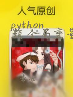 python 类 全局变量