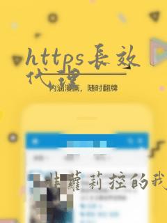 https长效代理