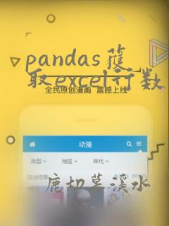 pandas获取excel行数