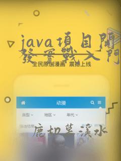 java项目开发实战入门(全彩版)pdf