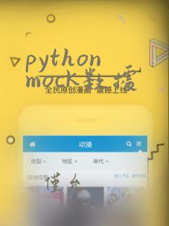 python mock数据