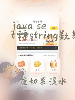 java set转string数组