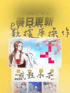 python 数据库操作框架