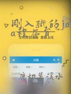 刚入职的java程序员