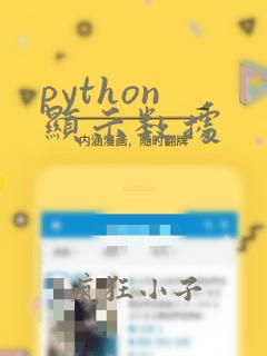 python 显示数据