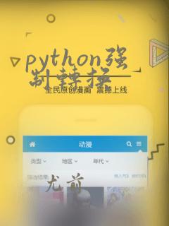 python强制转换