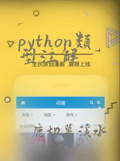 python类型注解