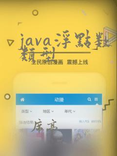 java浮点数类型
