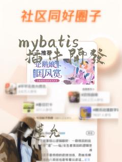 mybatis 插件开发