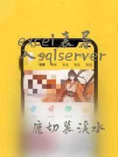 excel表导入sqlserver
