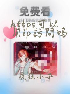 https可以用ip访问吗